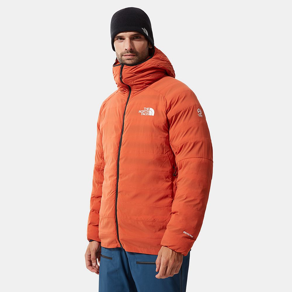 The North Face Winter Jacket Mens Australia - The North Face L3 50/50 Hooded Orange Mountaineering (